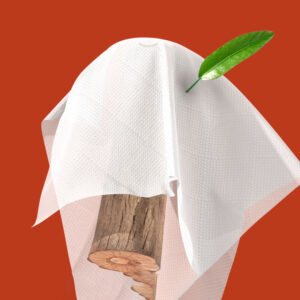 1 Dozen Soft, Strong Hanging Facial Tissues